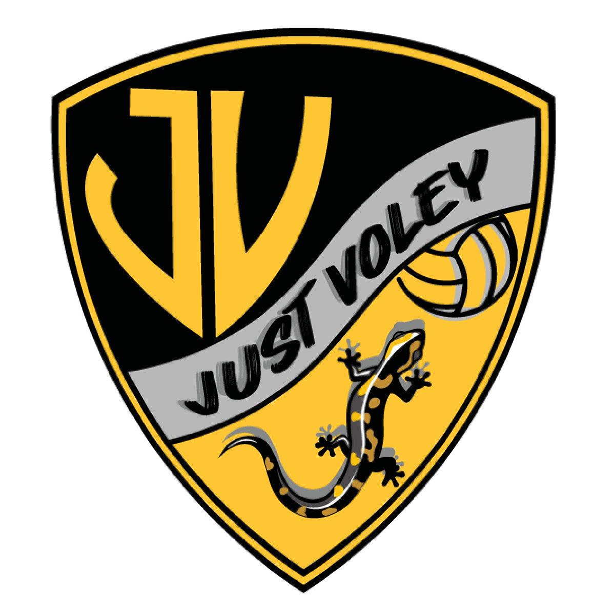 JUST VOLEY - PACKS